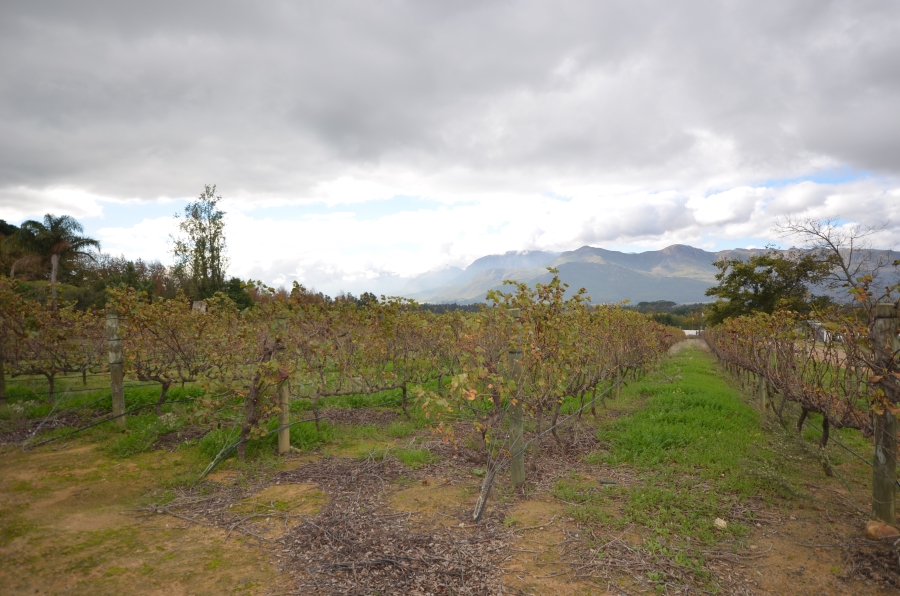 0 Bedroom Property for Sale in Paarl South Western Cape